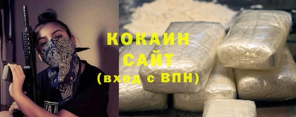 бошки Новодвинск