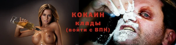 бошки Новодвинск