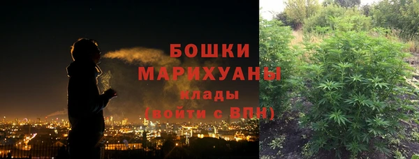 PSILOCYBIN Нягань