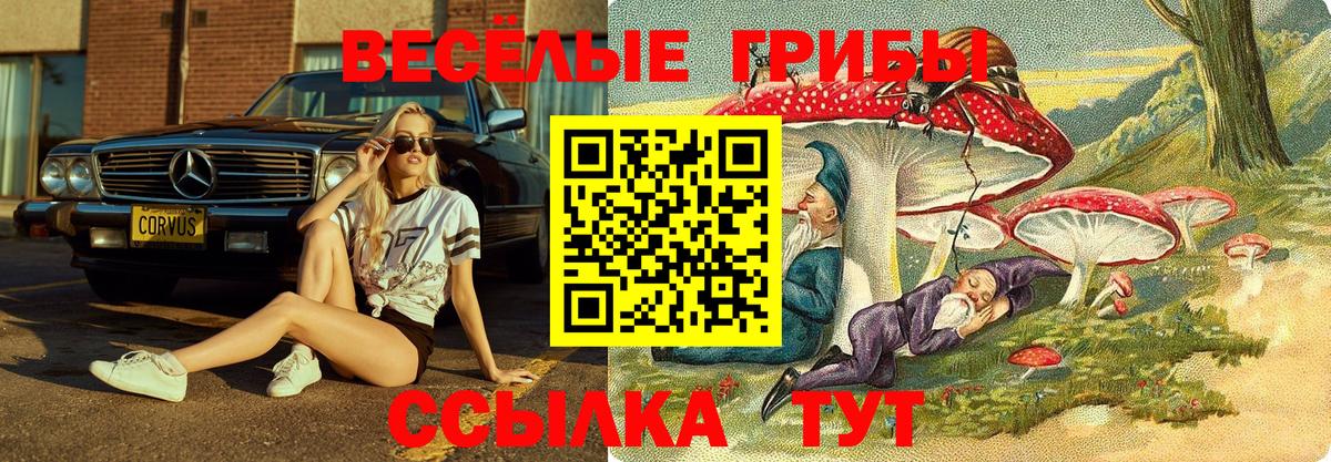 Галлюциногенные грибы прущие грибы Энгельс
